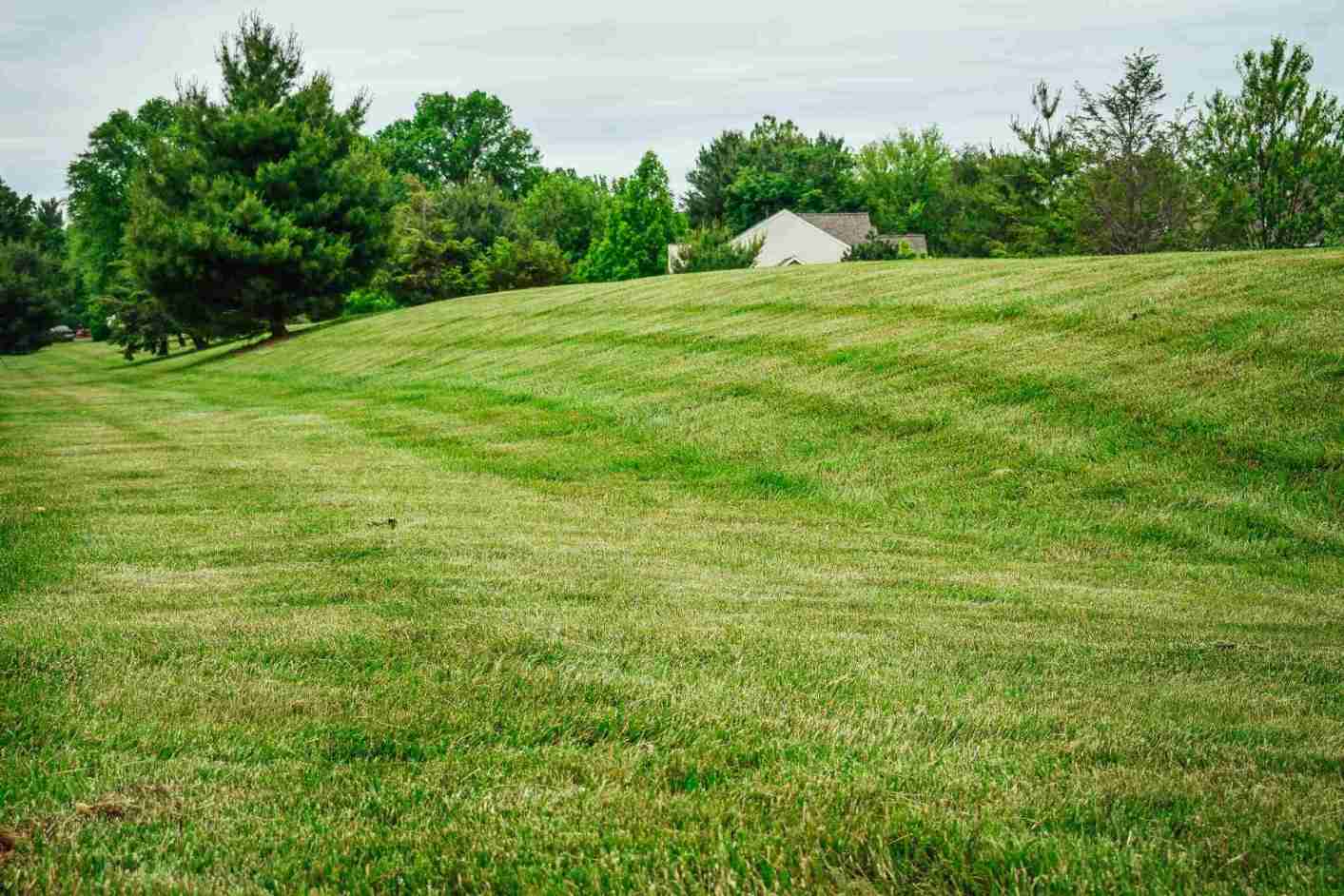 Freshly mowed hillside lawn in Chester County, PA