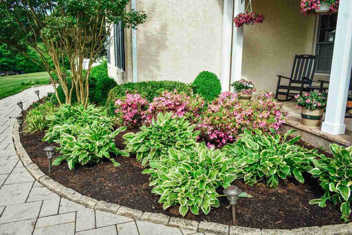 Hosta and azalea foundation bed — shade microclimate planting