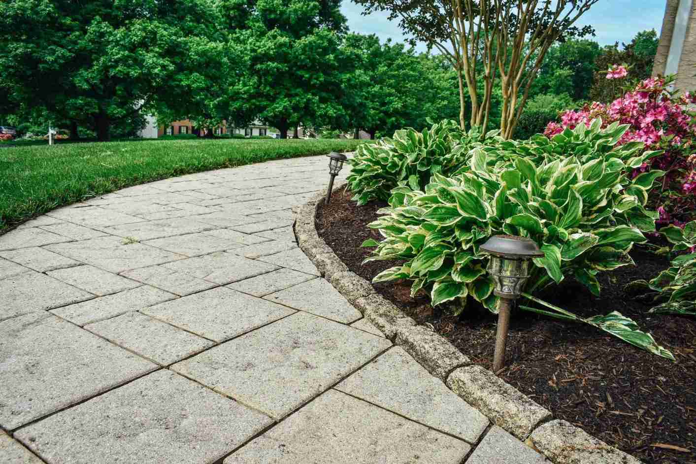 Paver walkway with integrated lighting and hosta plantings for safe nighttime navigation