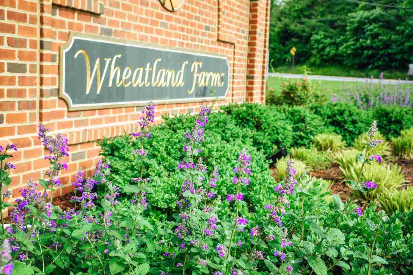 HOA community entrance sign with manicured plantings