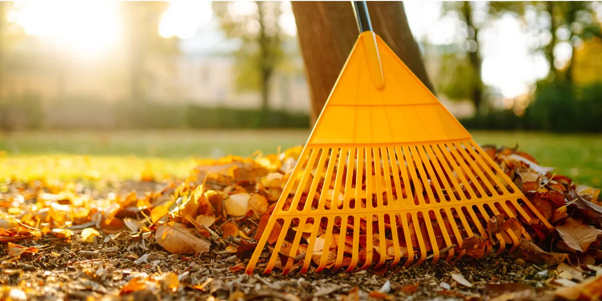 Building an Outdoor Living Space You Will Actually Use for 20 Years