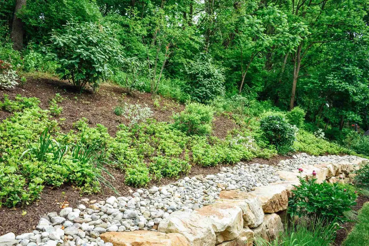 Block retaining wall with shrub planting