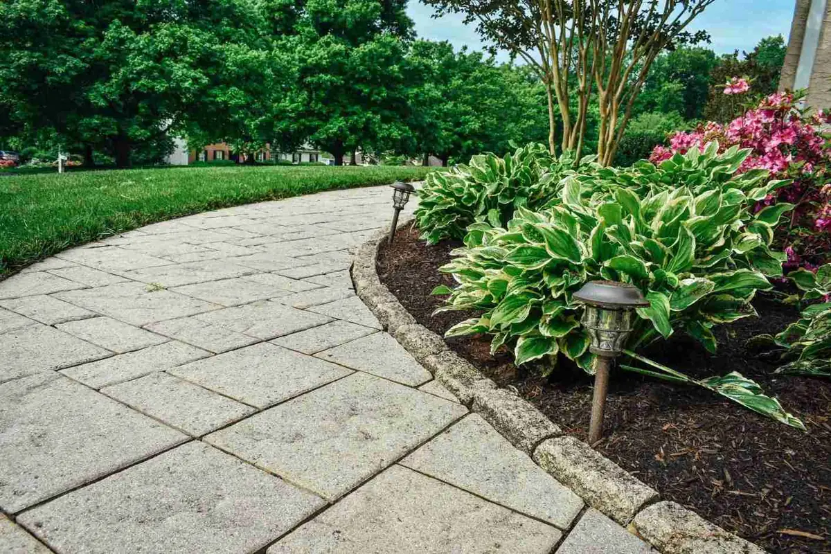 Paver walkway with hosta and pathway lighting