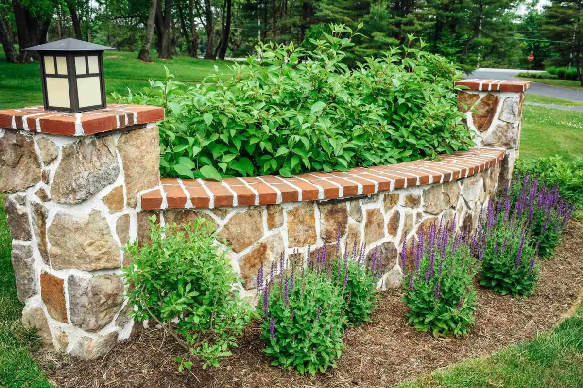 Stone and brick planter wall with light