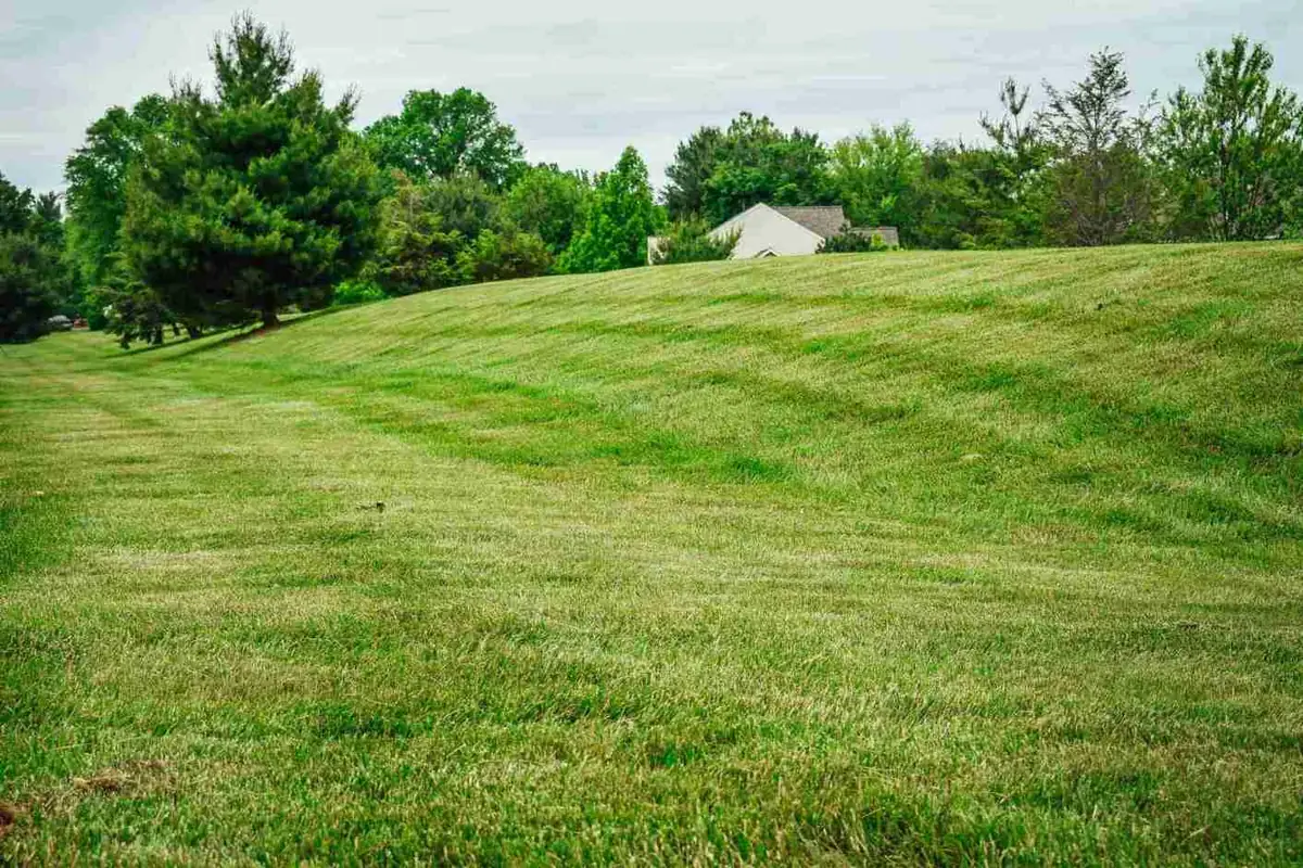 Freshly mowed hillside lawn