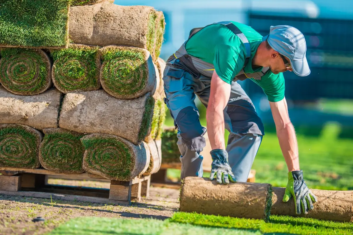 Sod installation