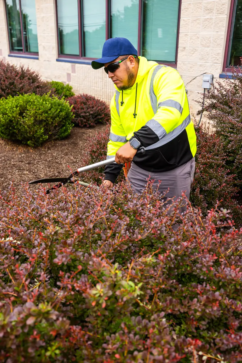Pickel Landscape Group crew member hand-pruning shrubs at a commercial HOA property