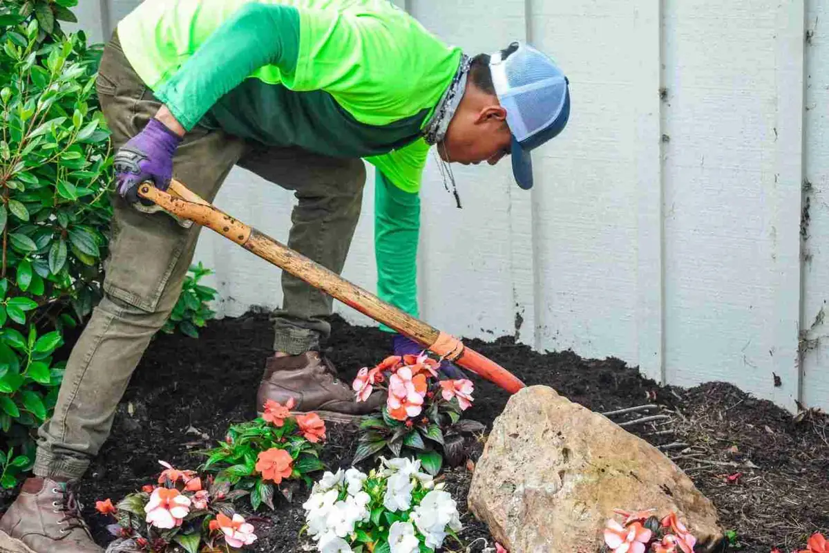 Crew member mulching flower bed