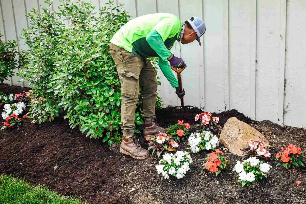 Crew member planting impatiens in mulch bed