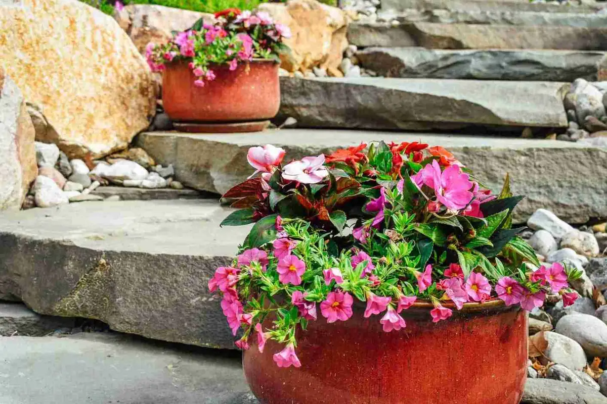 Flower pots on boulder stone steps