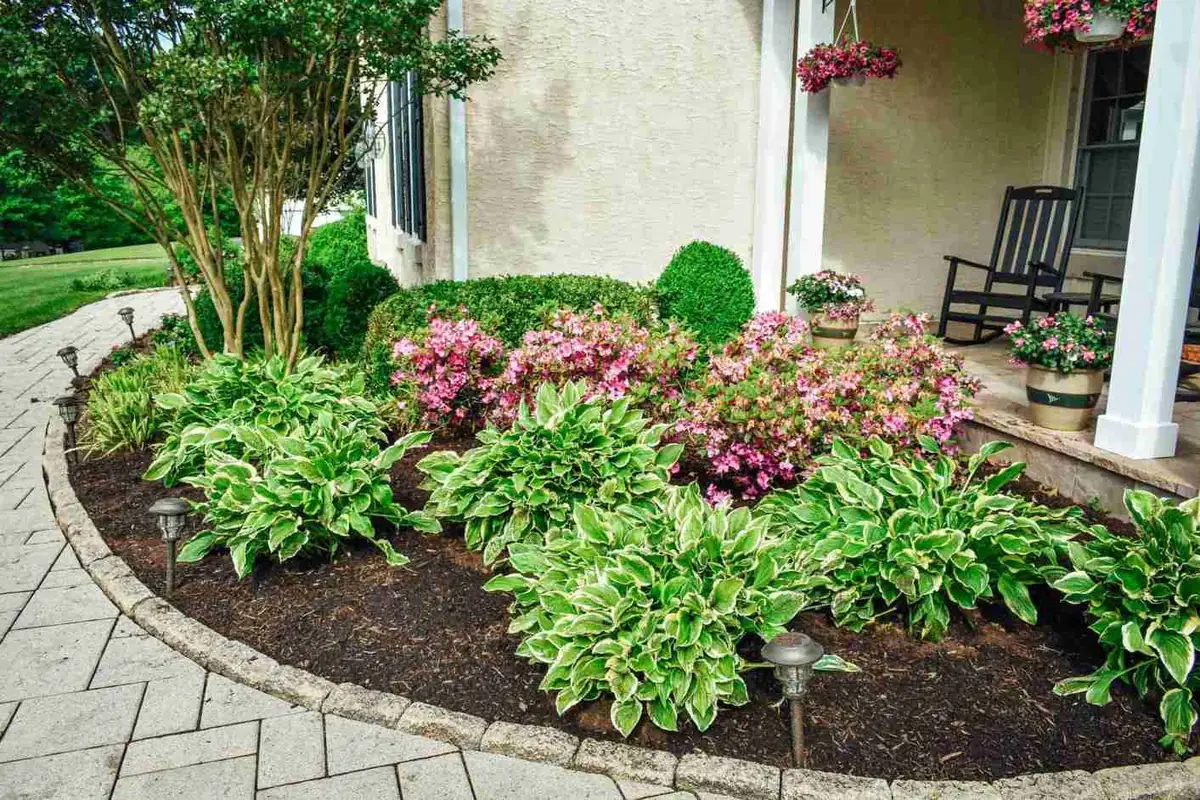 Tree & Shrub Planting project 5