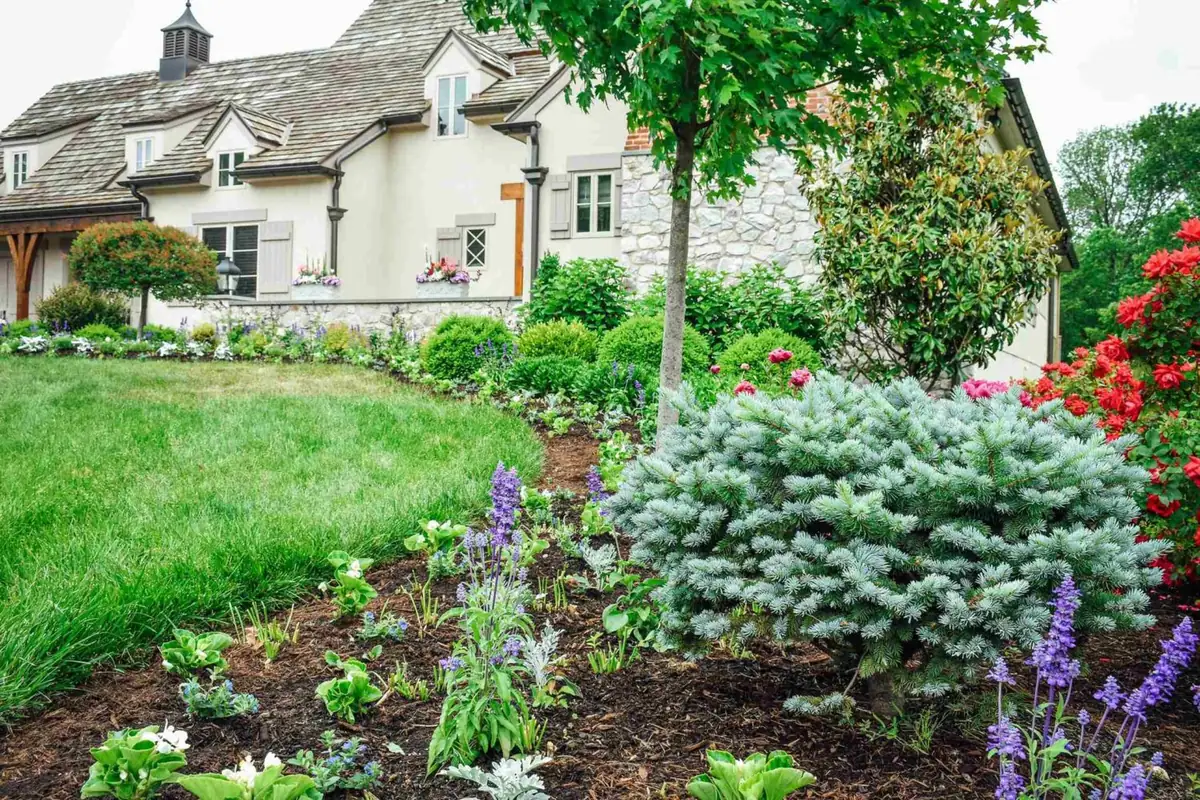 Amending Your Soil: A Guide to Healthier Gardens