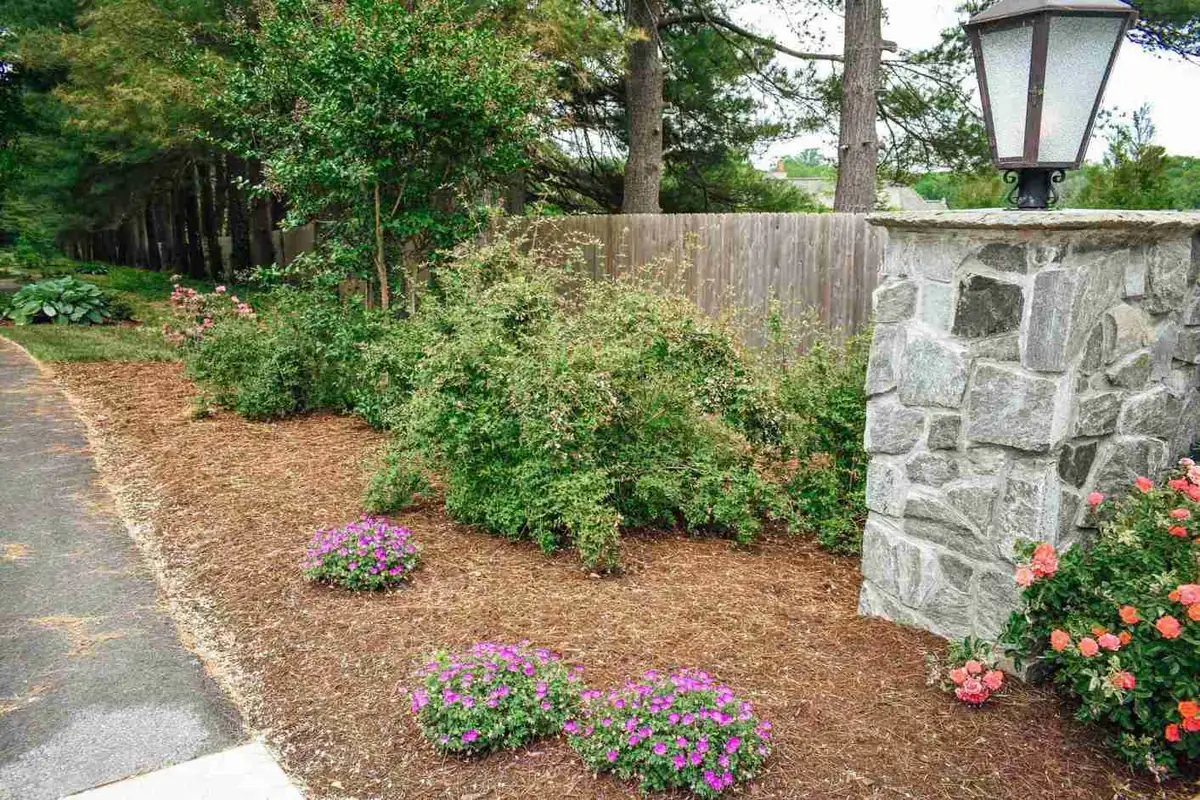 A Closer Look at Bulb Installations: A Spring Case Study