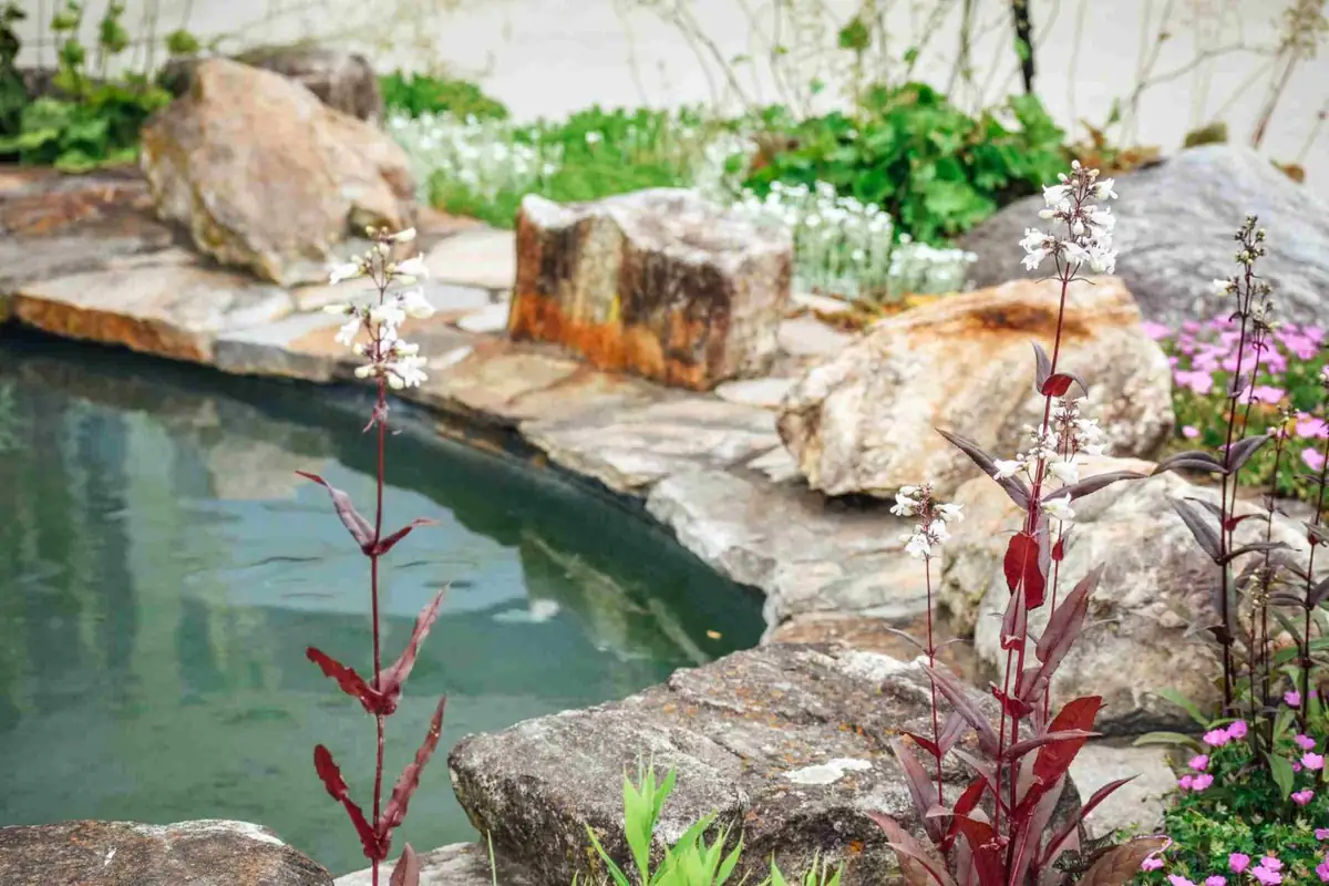 Patio & Pond Retreat