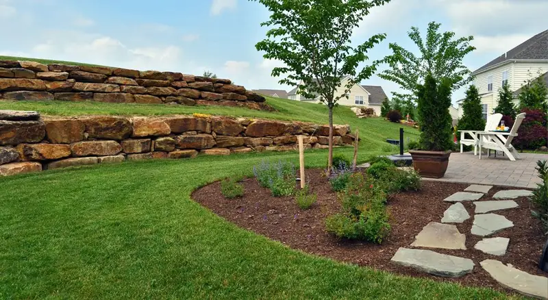 Landscape project